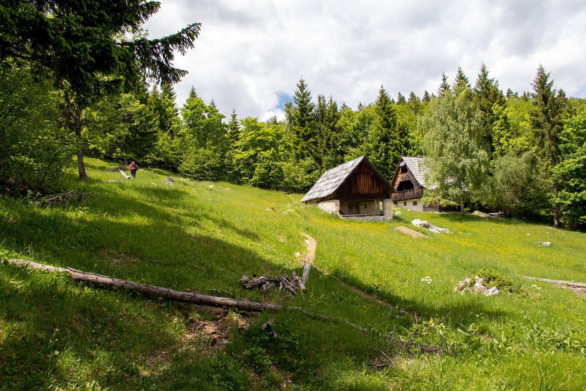 Small forest village in the Julian Alps