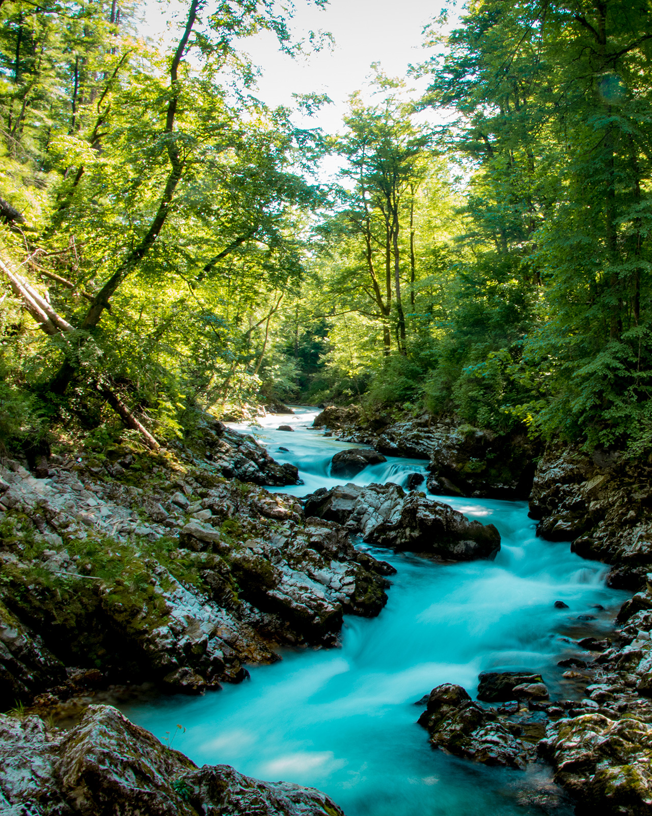 Outsidematerial_Vintgar_Gorge_river_trees Vintgar Gorge river