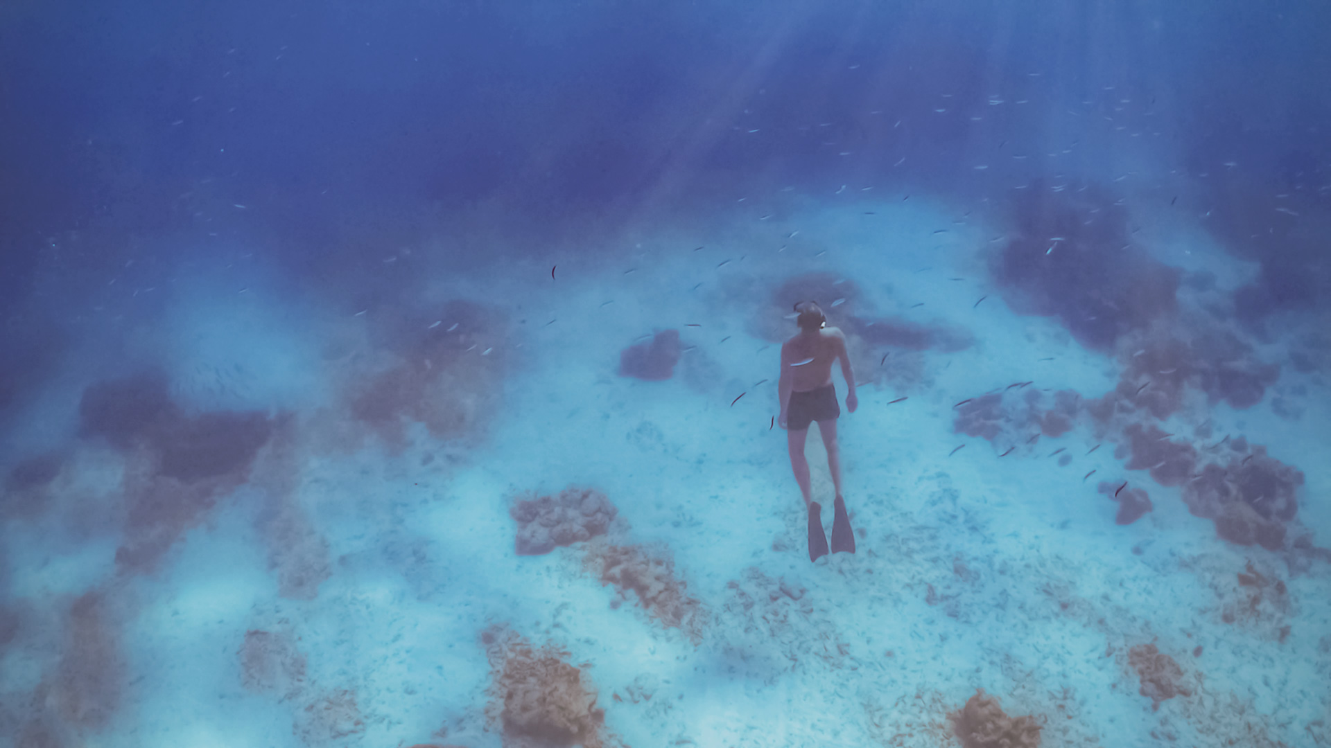 Is it safe to travel to the Gili Islands after the 2018 earthquakes? Deep water snorkeling trip Is it safe to travel to the Gili Islands after the 2018 earthquakes? Deep water snorkeling trip