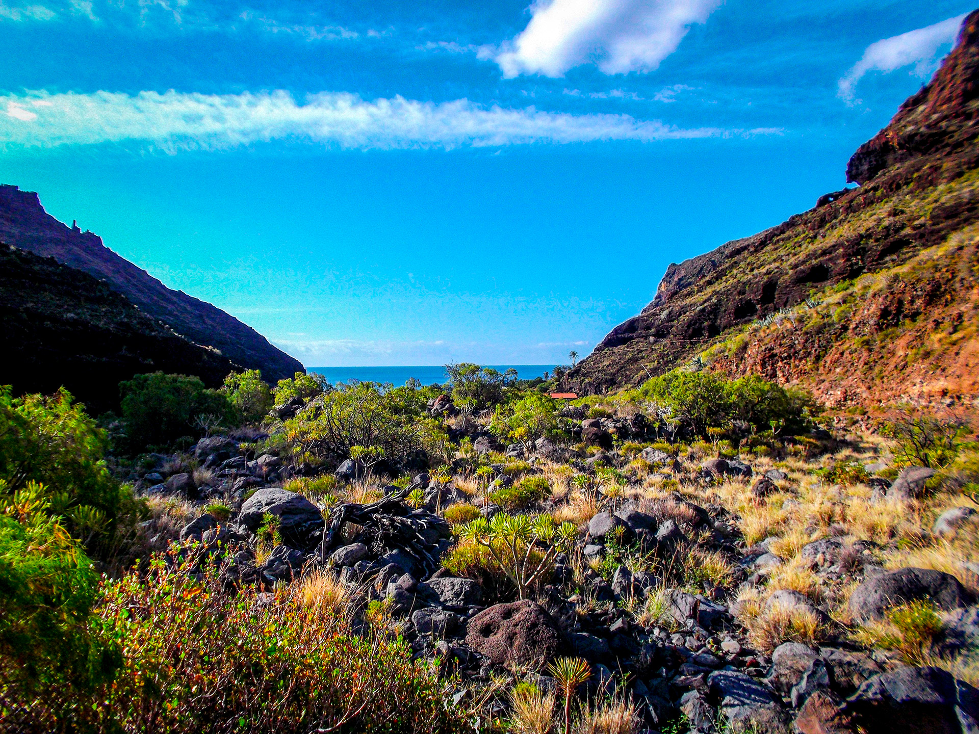 la gomera valley nature