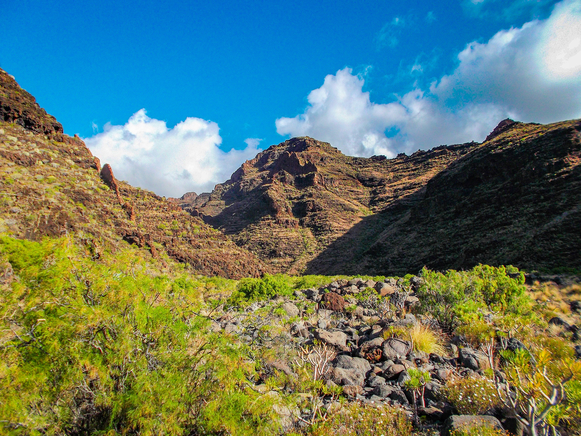 la gomera nature pure