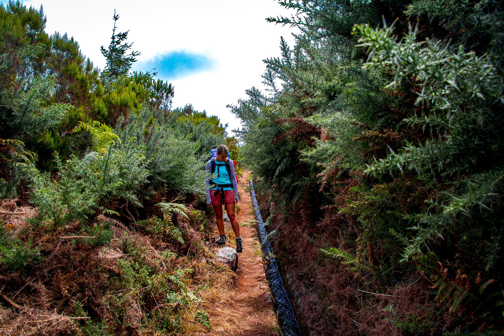 outsidematerial-madeira-trek-hiking-landscape-blueberries-levada