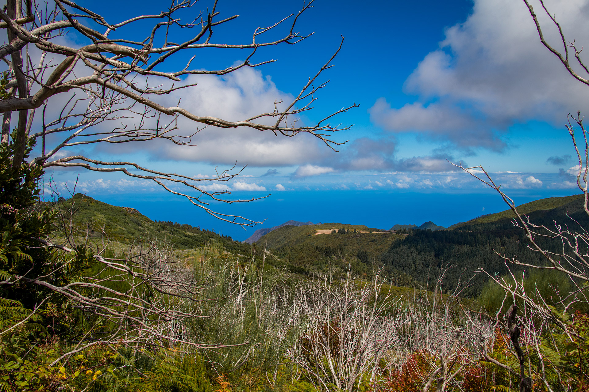 outsidematerial-madeira-trek-hiking-landscape-clouds-tree-ocean