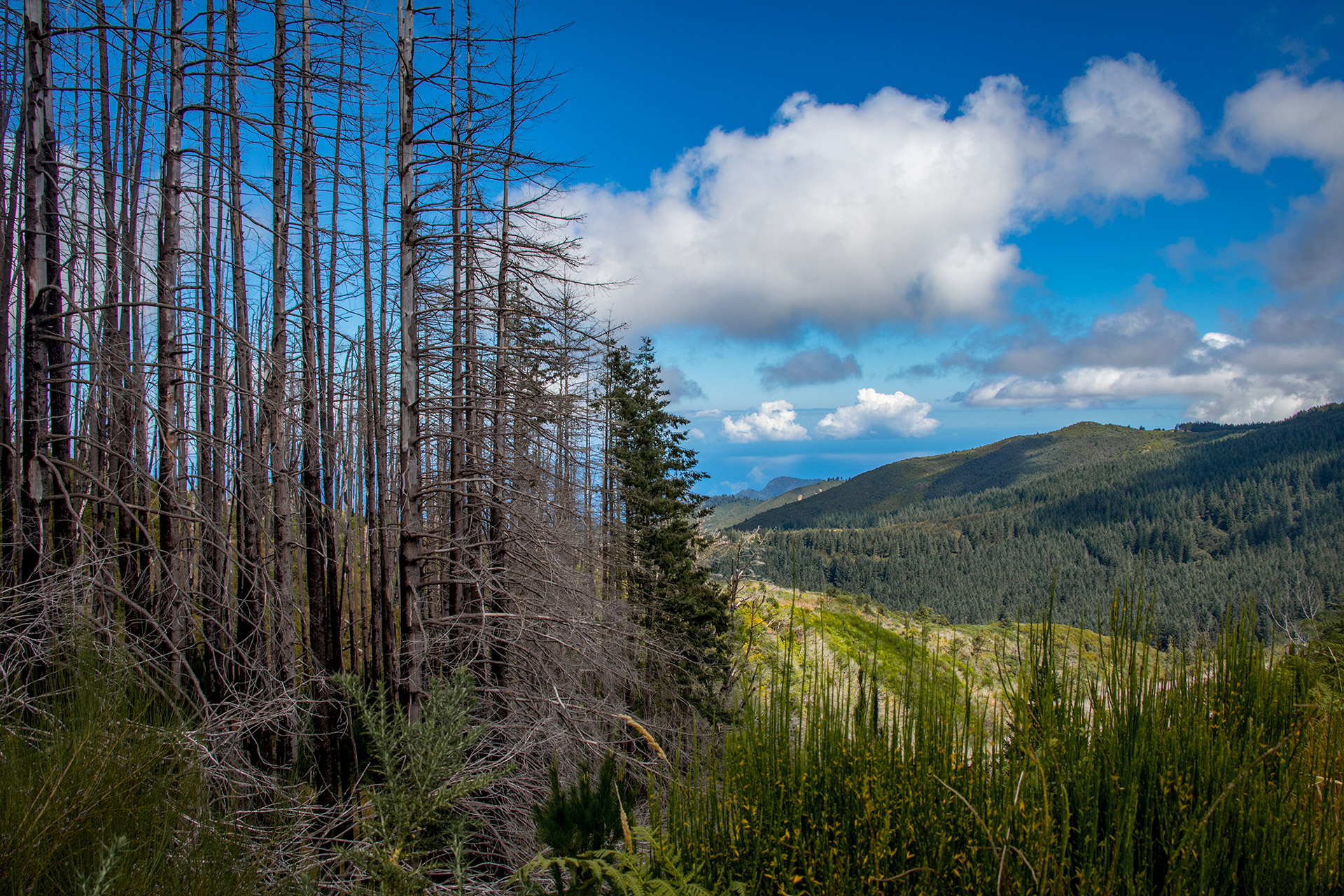 outsidematerial-madeira-trek-hiking-landscape-fire-burned
