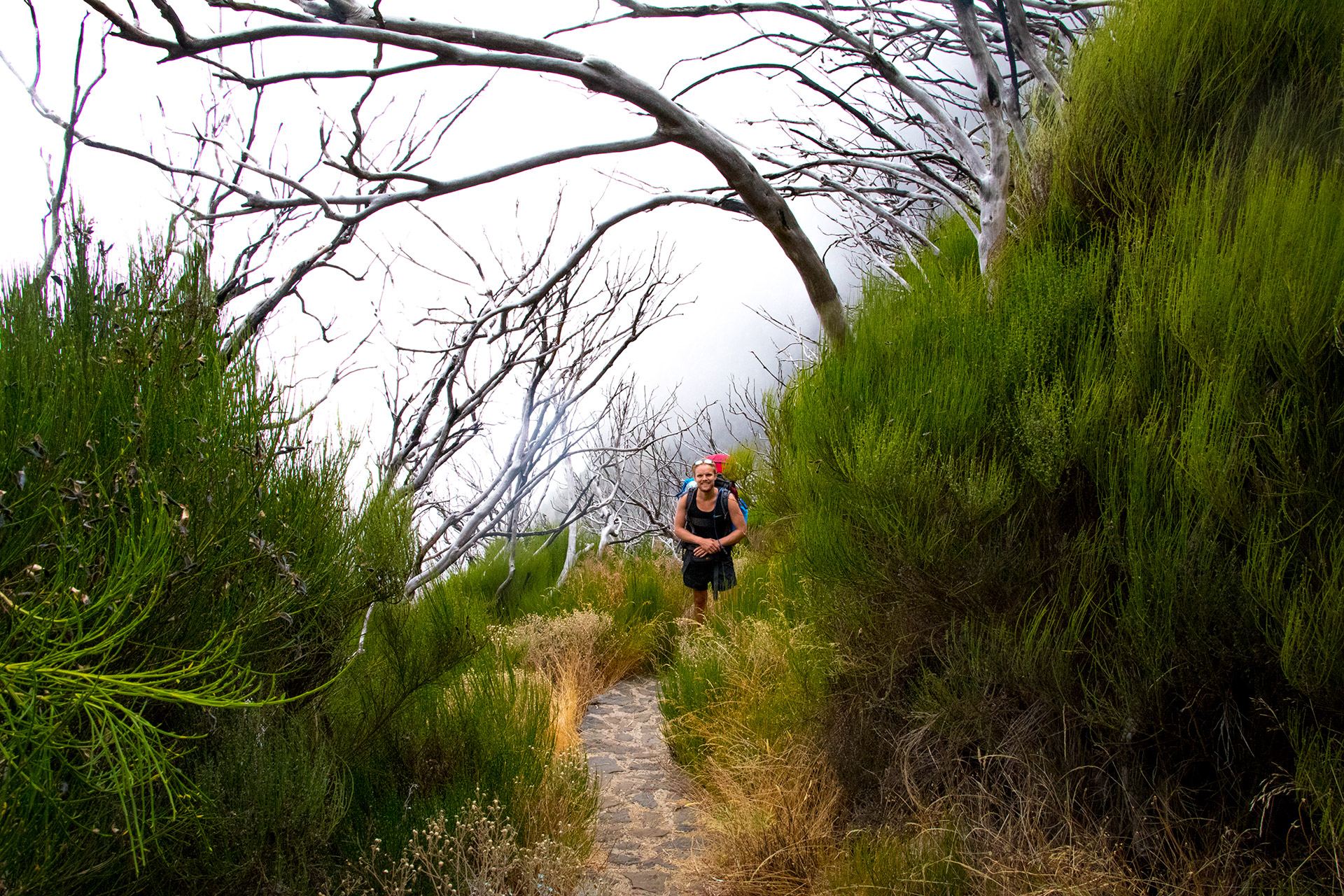 outsidematerial-madeira-trek-hiking-landscape-mountains-fog-nature-burned-trees-backack madeira hiking path