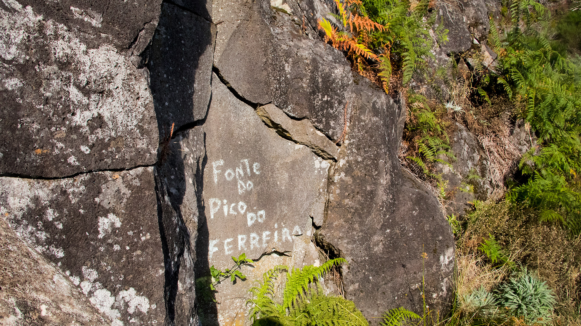 madeira fonte do pico do ferreira