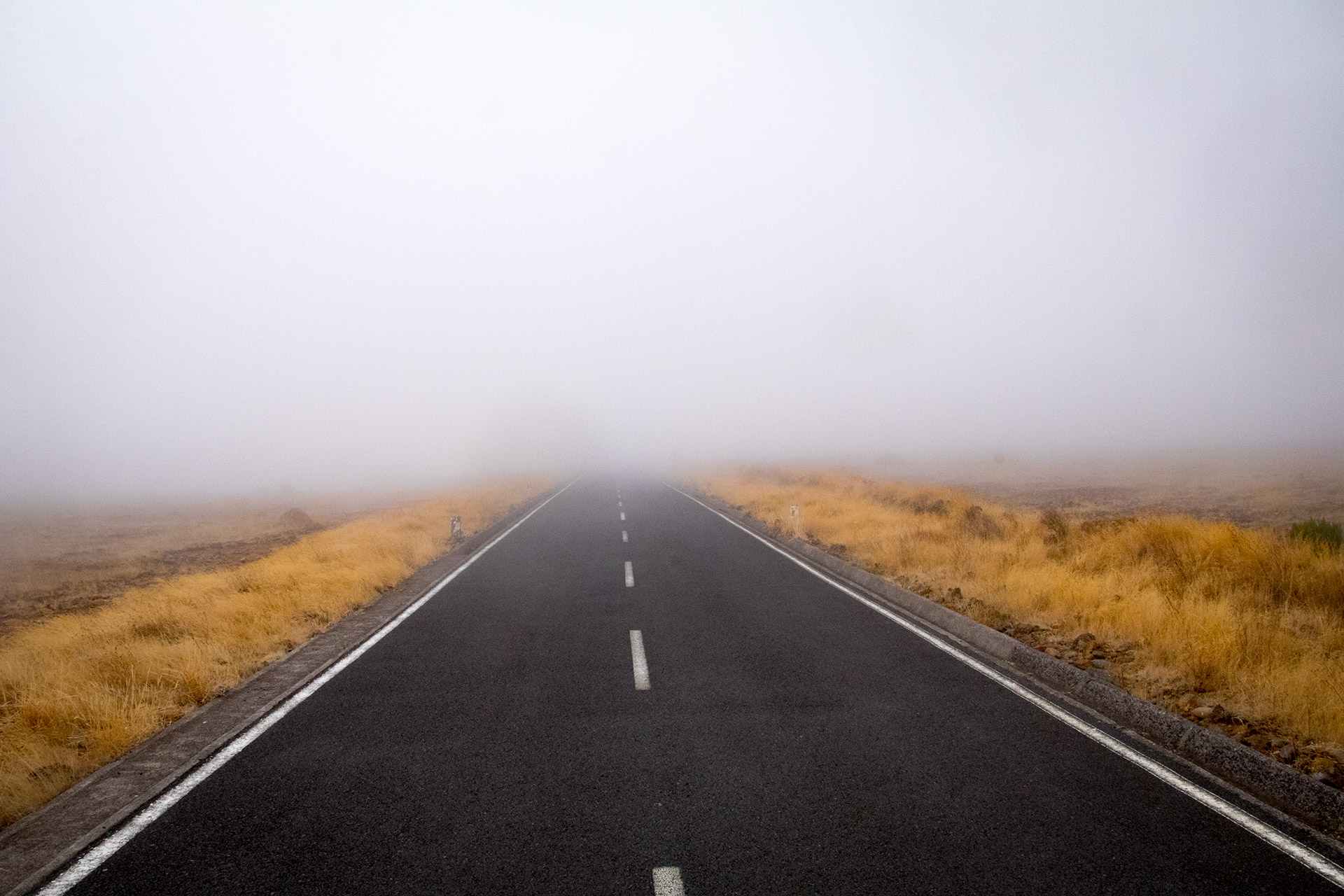 outsidematerial-madeira-trek-hiking-street-paul-da-serra paul da serra street fog