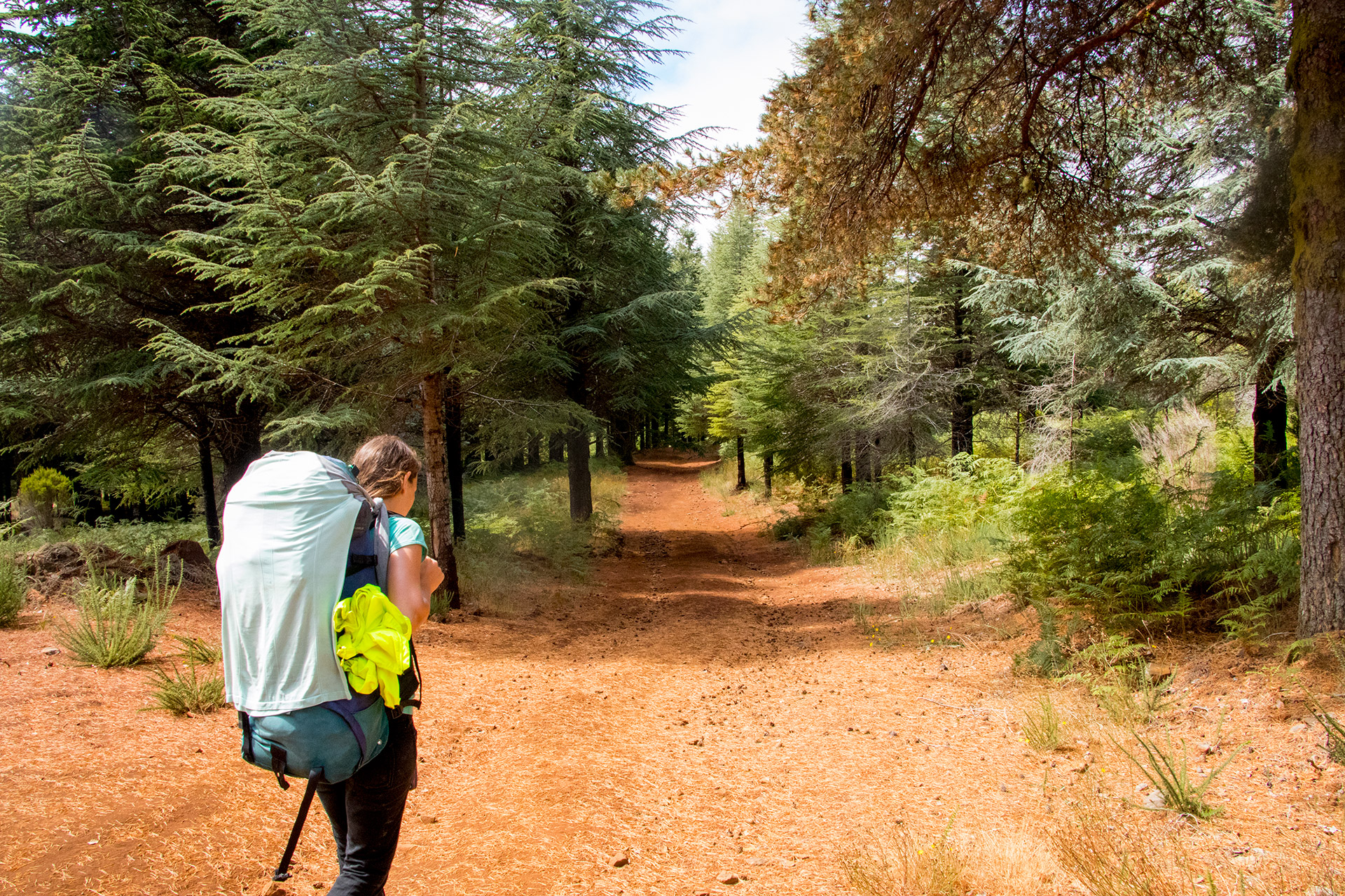 outsidematerial-madeira-trek-hiking-street-paul-da-serra-forest-backpack paul da serrra forest
