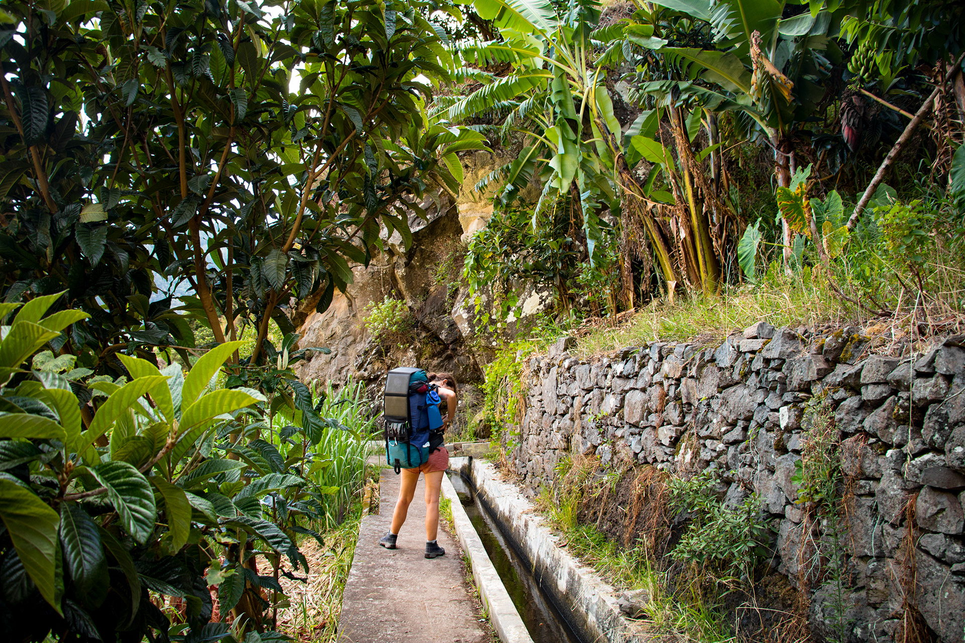 outsidematerial-maderia-levada-trail-bananas