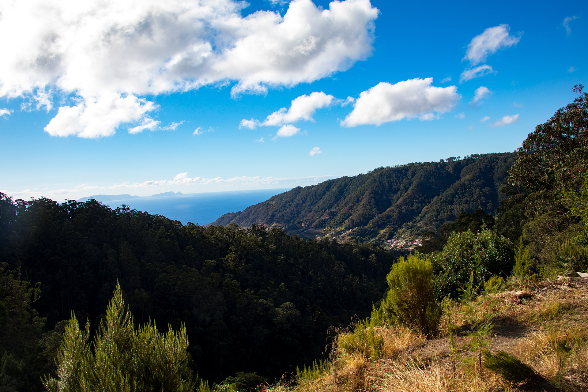 outsidematerial-maderia-levada-trail-view-ocean