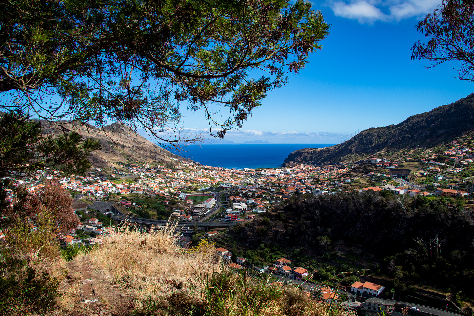 outsidematerial-maderia-machico-tree-aerial-ocean