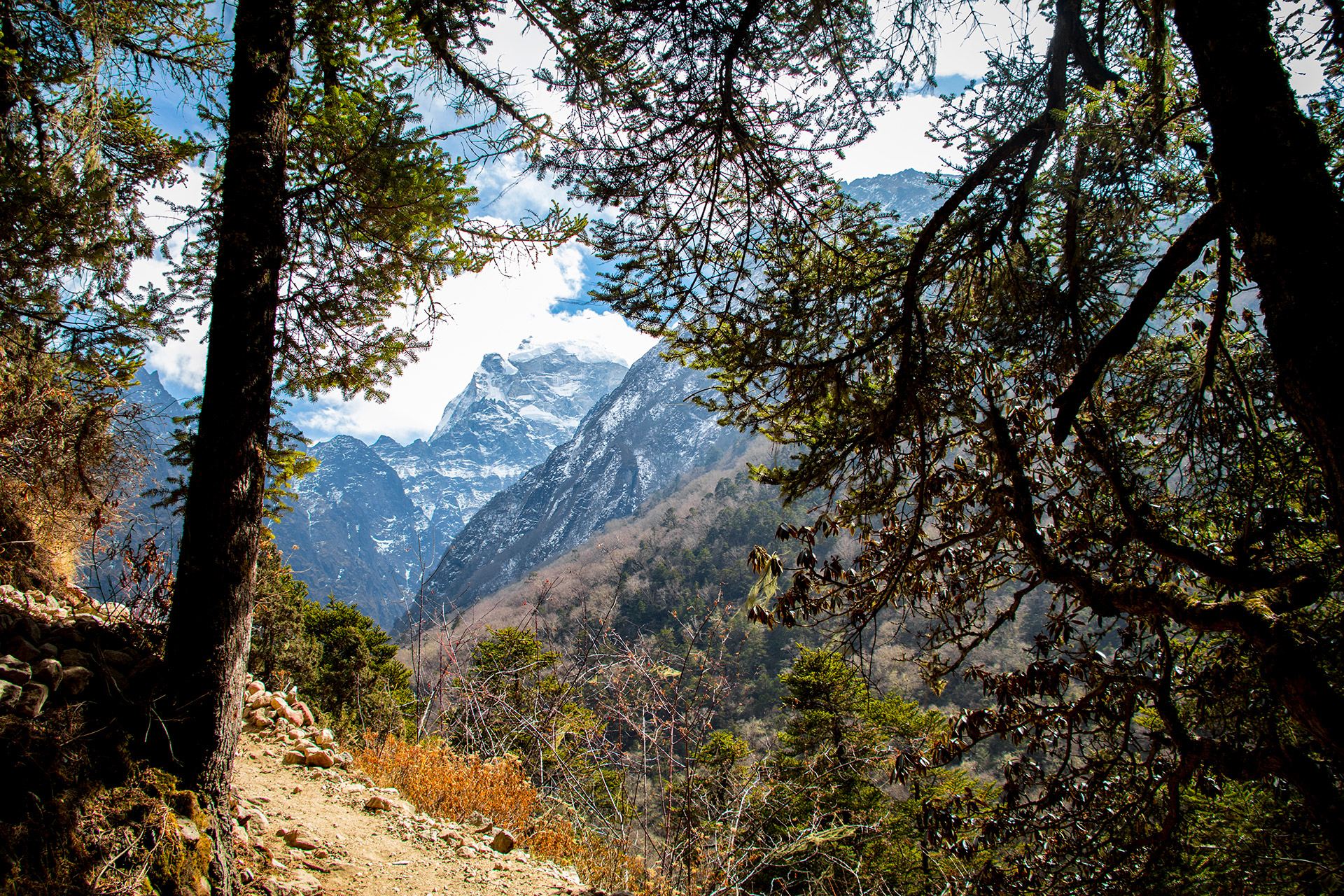 outsidematerial-nepal-ebc-everest-base-camp-trek-himalaya-forest-trees-view-stunning