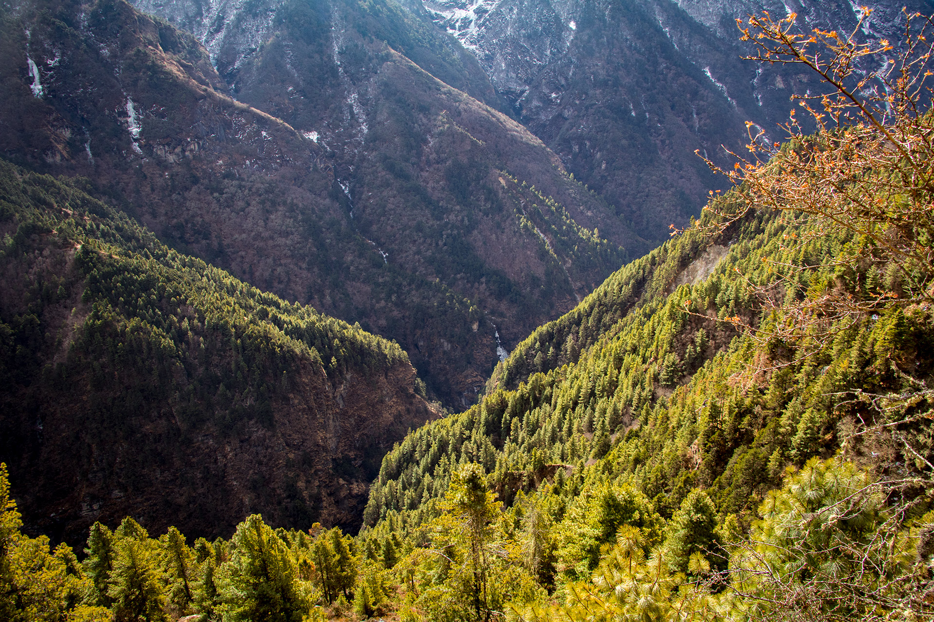 outsidematerial-nepal-ebc-everest-base-camp-trek-himalaya-forest-valley-stunning-colour