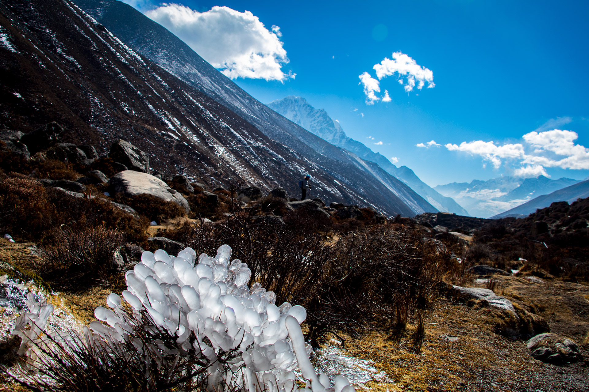 Everest Base Camp Trek | Ice Flowers Valley View
