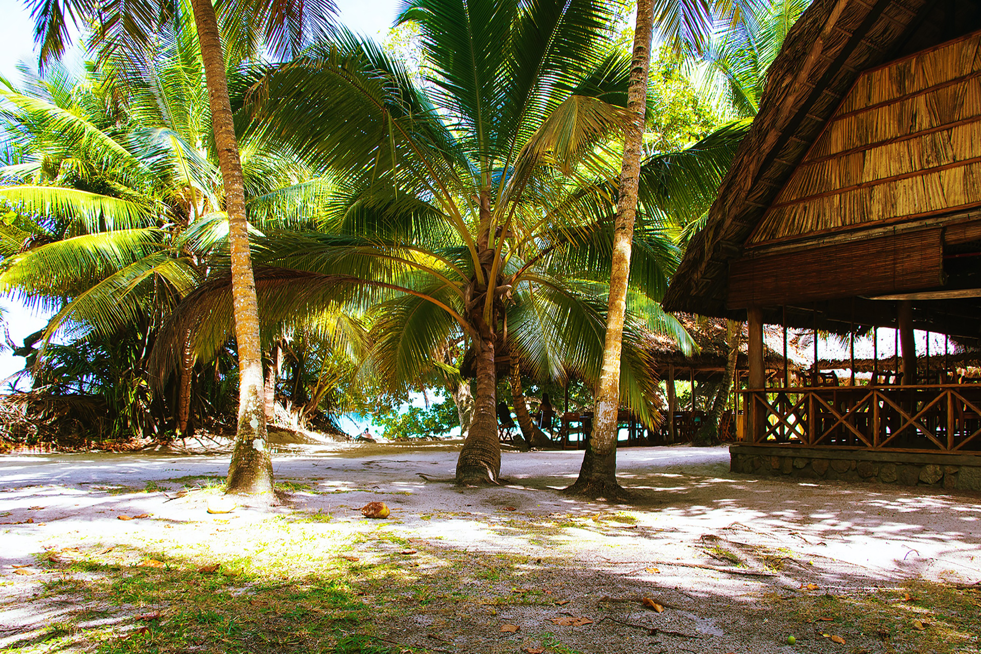 outsidematerial-seychelles-beach-anse-lazio-best-paradise-praslin-palmtrees-restaurant