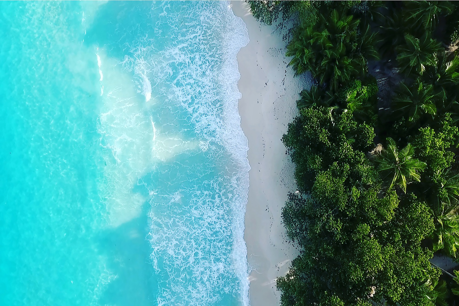 outsidematerial-seychelles-beach-anse-lazio-best-paradise-praslin-palmtrees-top