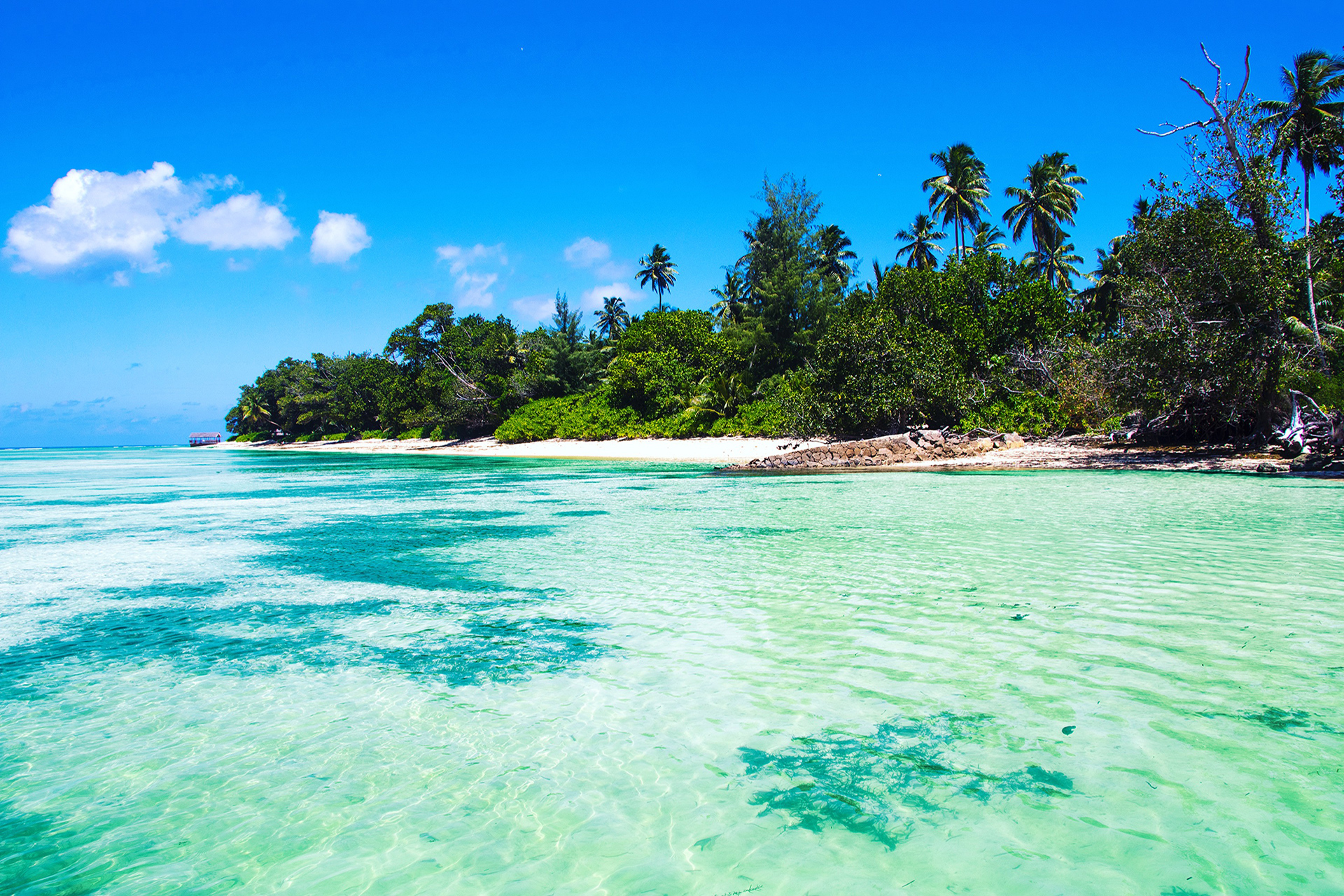 outsidematerial-seychelles-beach-anse-source-argent-best-paradise-praslin-palmtrees-clear