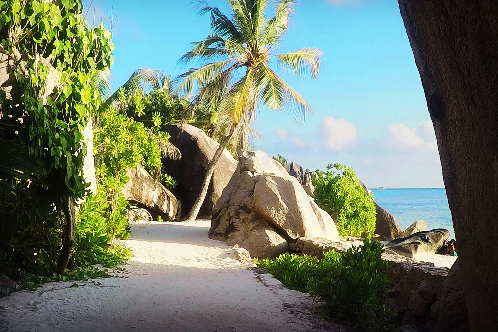 outsidematerial-seychelles-beach-anse-source-argent-best-paradise-praslin-palmtrees-rocks